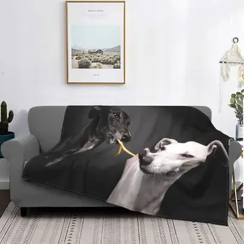 Одеяла Для Собак Greyhound Whippet Lurcher Galgo Из Кораллового Флиса, Осенне-Зимние Мягкие Пледы для Постельных Принадлежностей, Дорожные Пледы для Постельных Принадлежностей